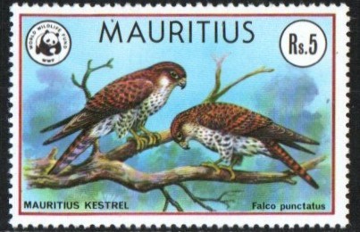Mauritius Stamp 472  - Mauritius kestrel