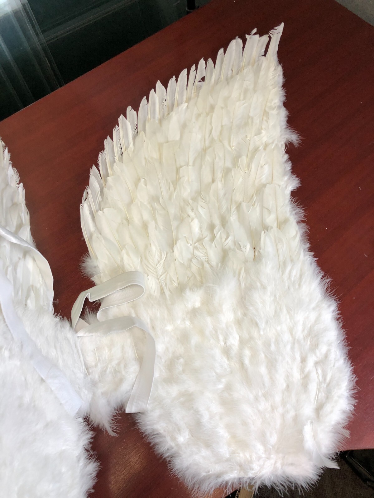 Touch of Nature White Adult Angel Wings - 52" by 36" w/ halo