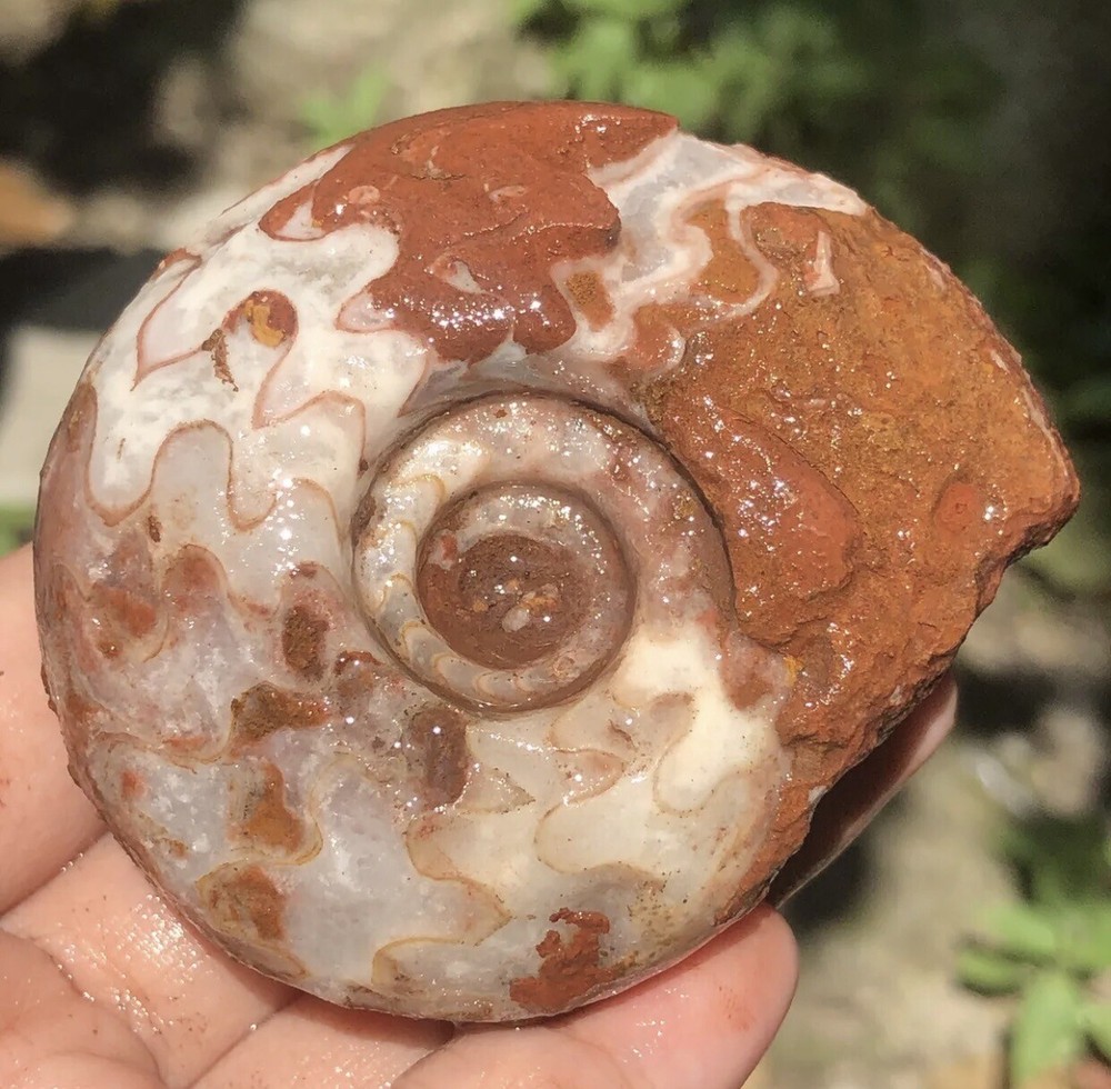 EXTRA STANDING FOR BUYER