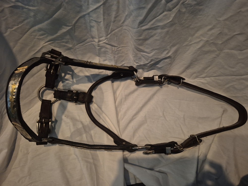 Western Full Size Show Halter