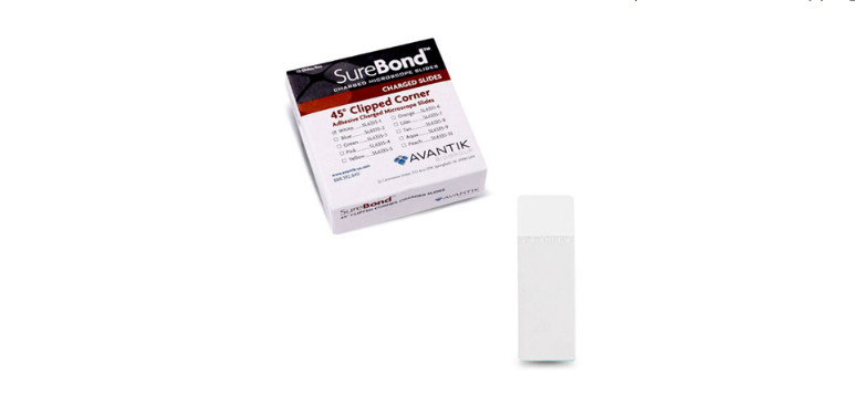 Sure Bond Charged Clipped Corner Microscope Slide PE-72/pk