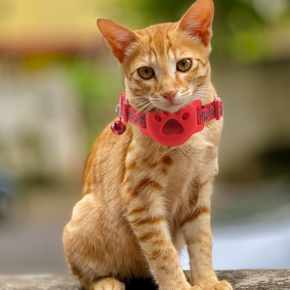 3 PCS Cat Tracker Collar Tracking for Cats Kitten Bell Band Holder