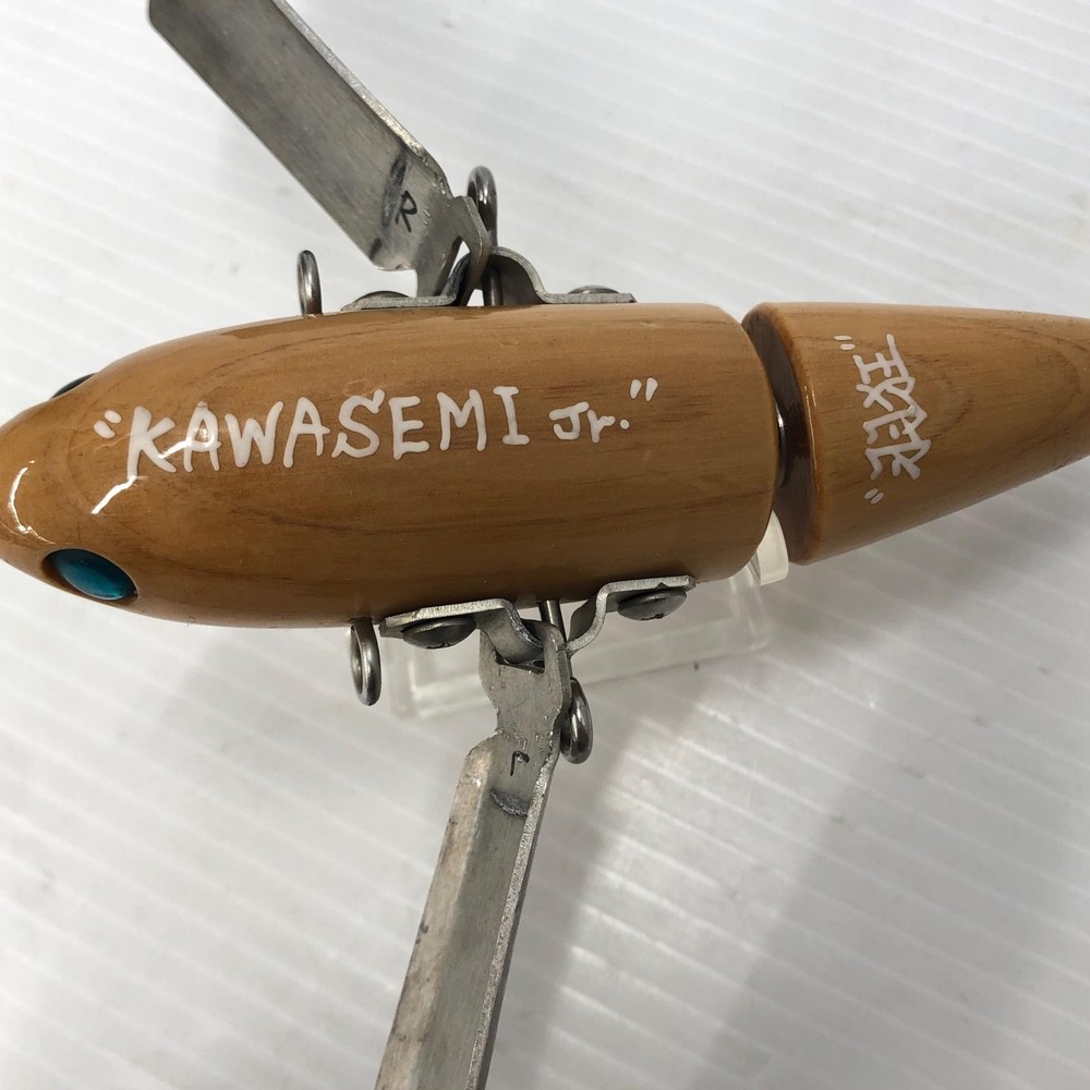 Hakyu Kawasemi Jr.