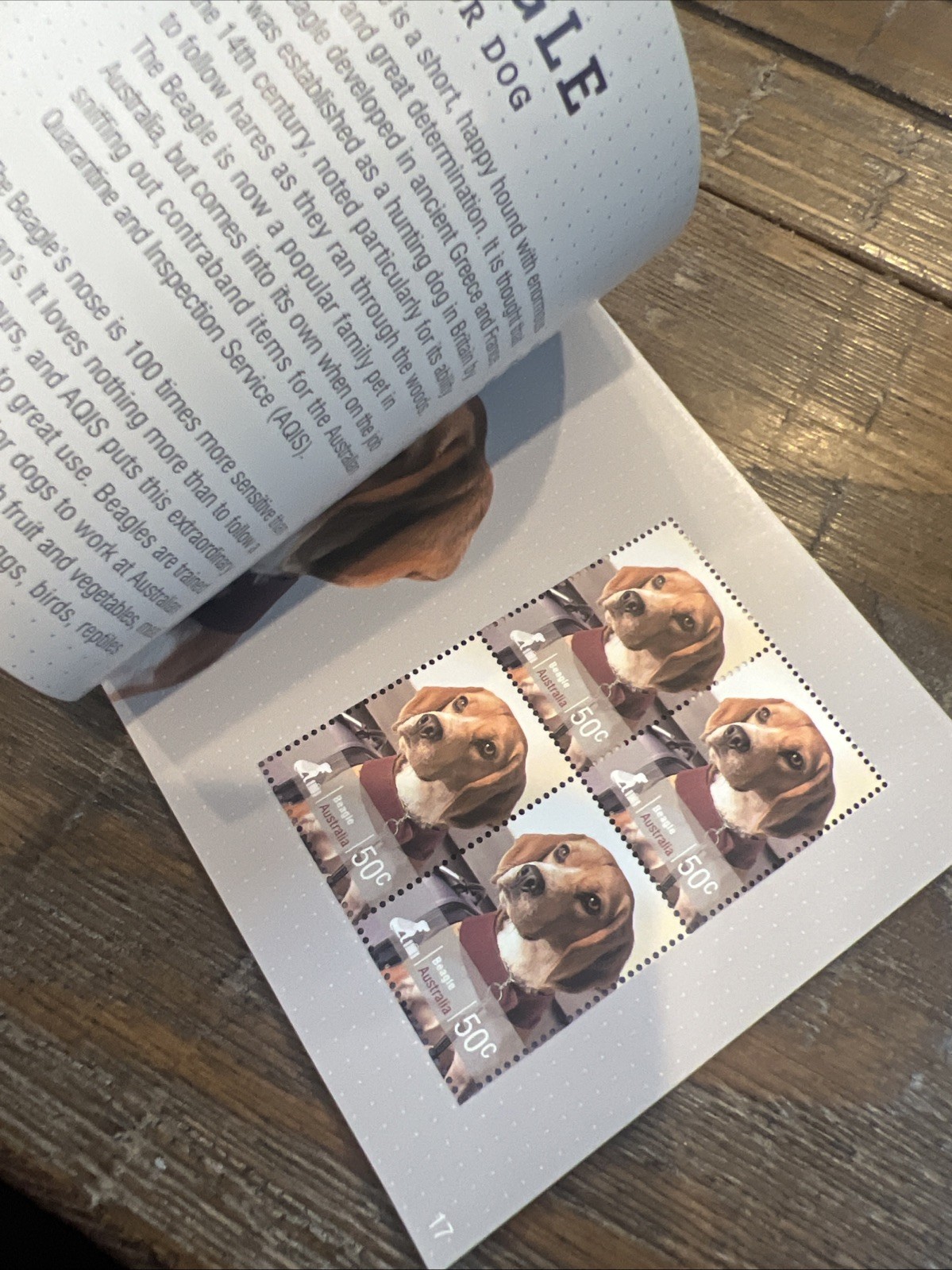 Lot Of 6: Australia Prestige: Dogs, Dangerous Aussies, Wallabies, Birds, Etc.