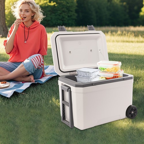 45L Insulated Wheeled Cooler with Pull Handle for Camping & Beach Activities