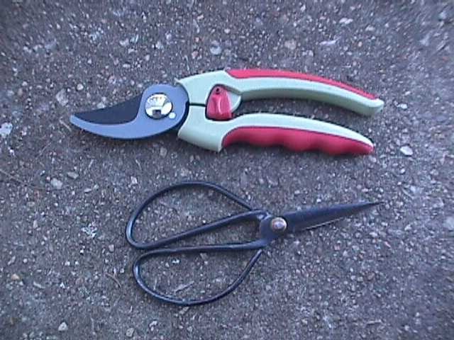 Flower Pruning Scissors Shears Clipper Snips