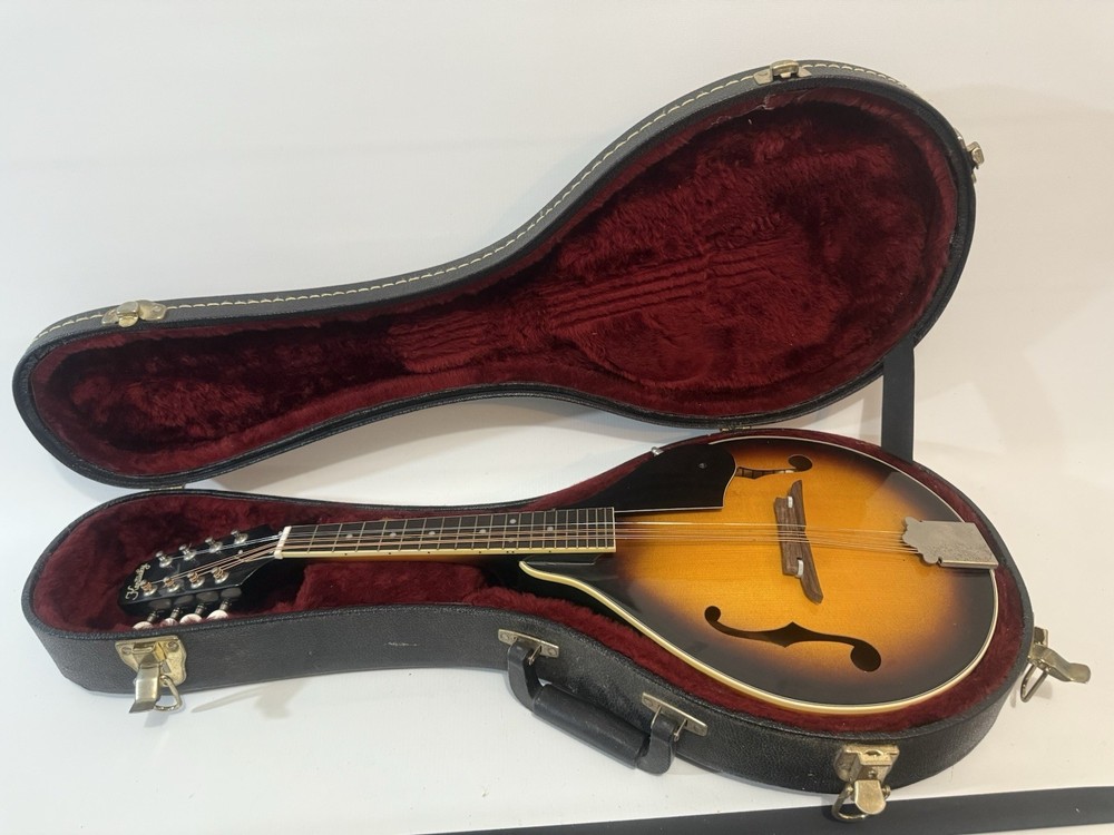 Kentucky KM-150S Mandolin Sunburst with soft case