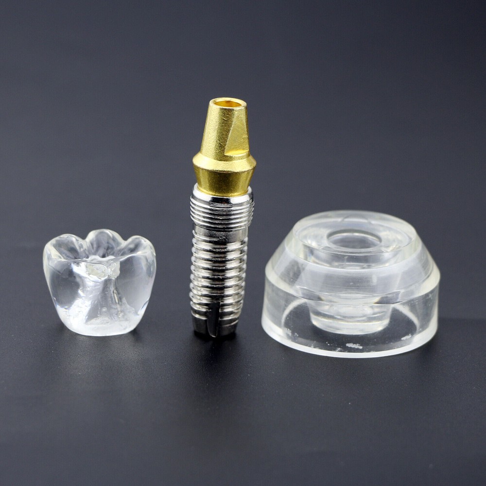 Dental Implant Model Demonstration Teeth Study Teach Models Detachable M2020