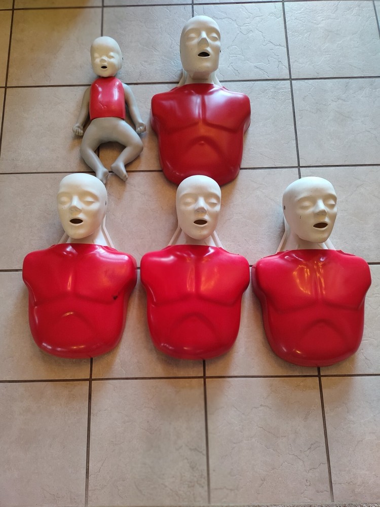 Life/form® Basic Buddy™ Convenience Pack Training CPR Manikins- LF03732U