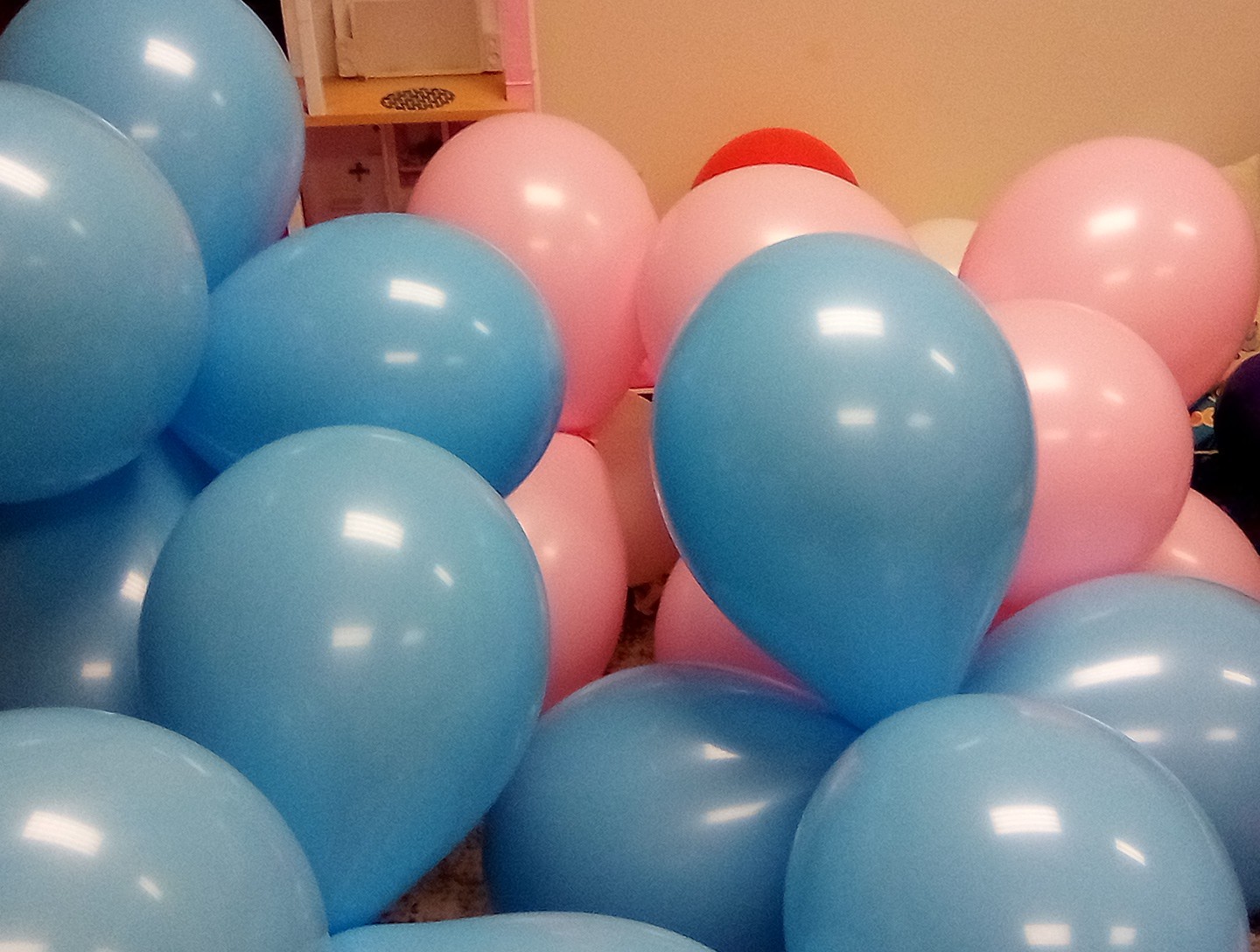 Qualatex Pink & Blue 16"(50) Great 4 Decorating 2nd's some have Slight Color Run