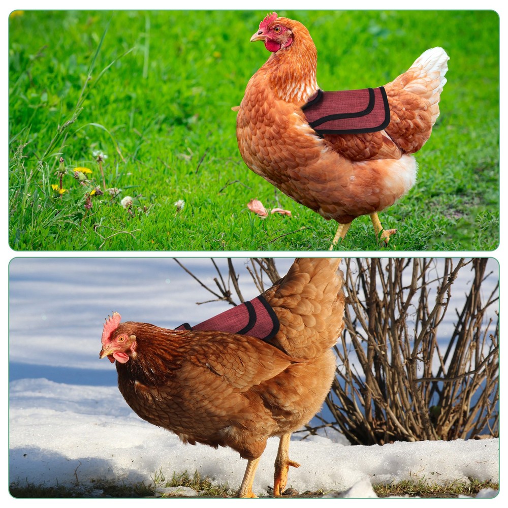 3-Pack Premium Chicken Saddle, Hens Saddle with Adjustable Strap [Red]