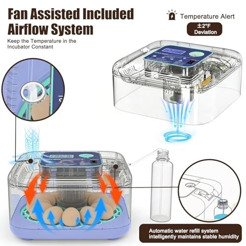 Smart Egg Incubator with Humidity Control, Auto Turner & 360° View for Hatching
