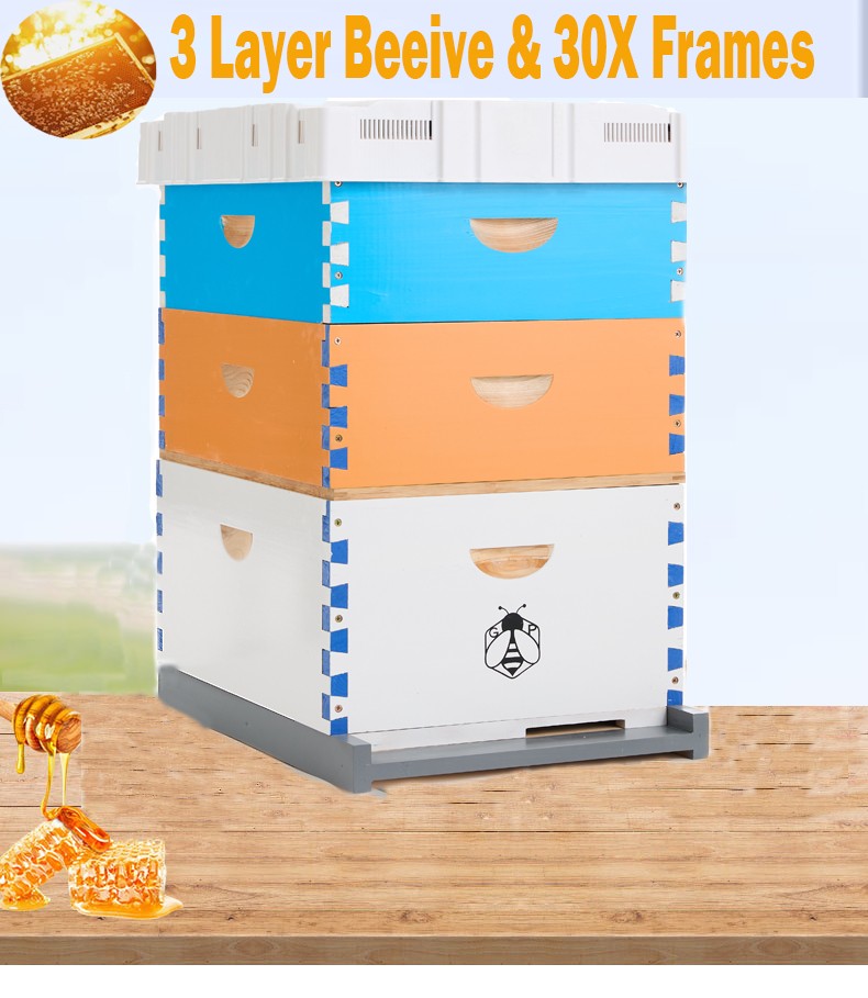 10 Frame Langstroth Bee Hive Coated Bee Painting Includes 30X Beehive Frames