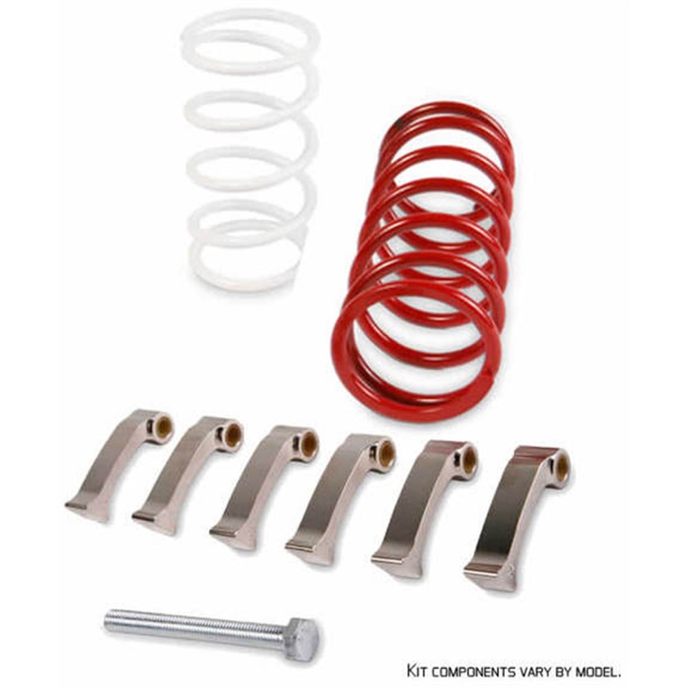 EPI Mudder Clutch Kit WE436526