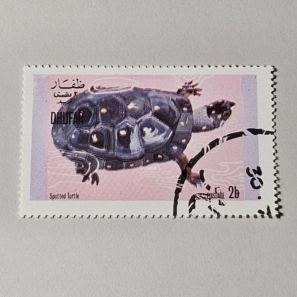 SPOTTED TURTLE STAMP27 STAMP DHUFAR