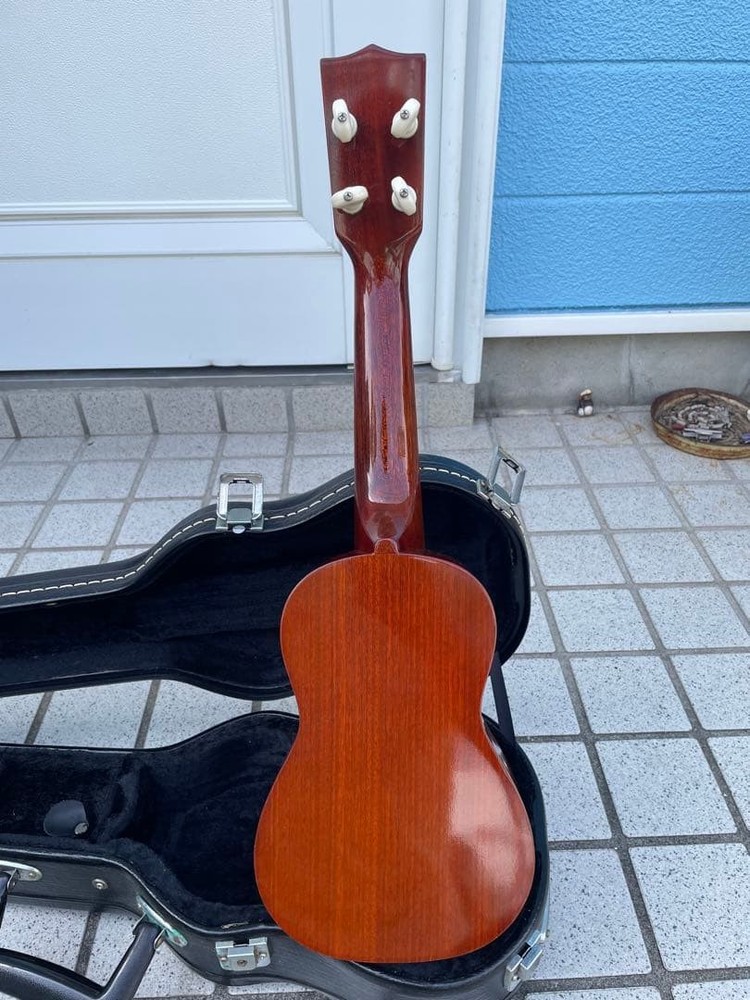 Aria ukulele with bird case