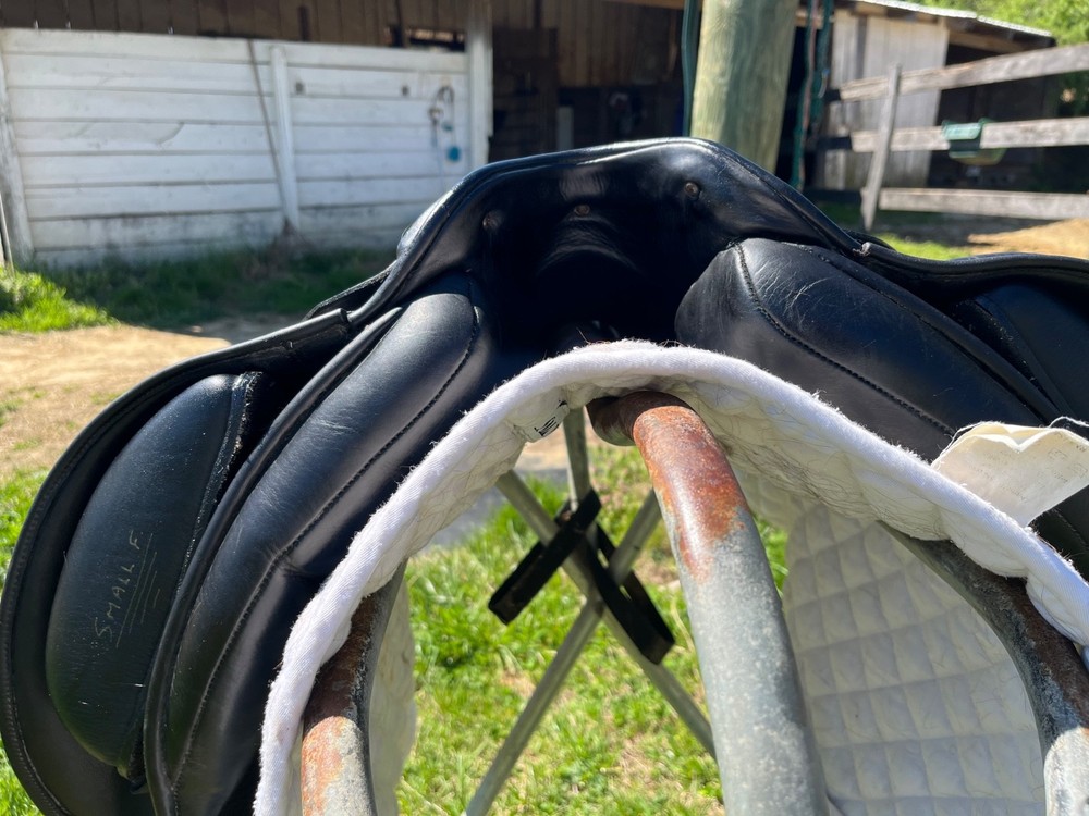 Albion Platinum 17.5 in adjustable tree