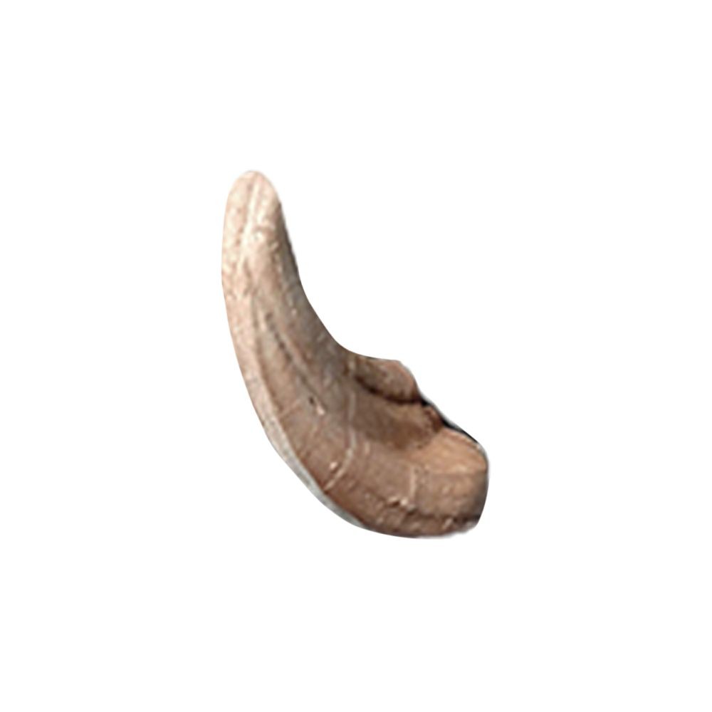 Delta Mckenzie African Warthog Archery Target Tusks Replacement