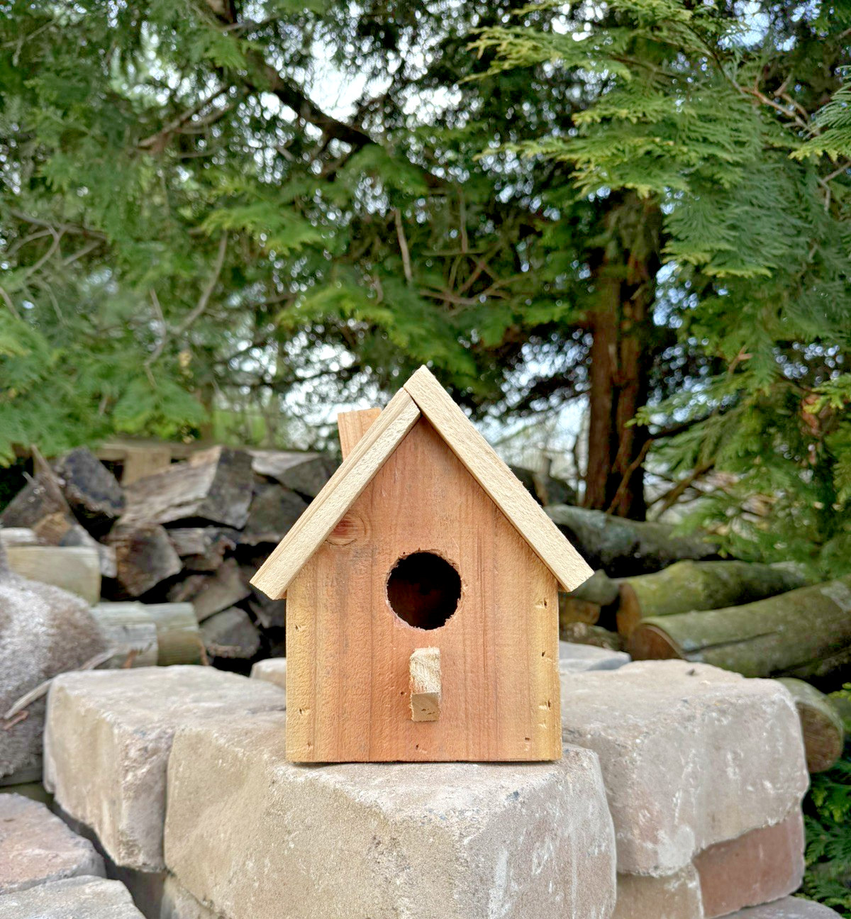 Handmade Cedar Birdhouse w/Chimney Rustic Outdoor Wren Chickadee NestGardenDecor