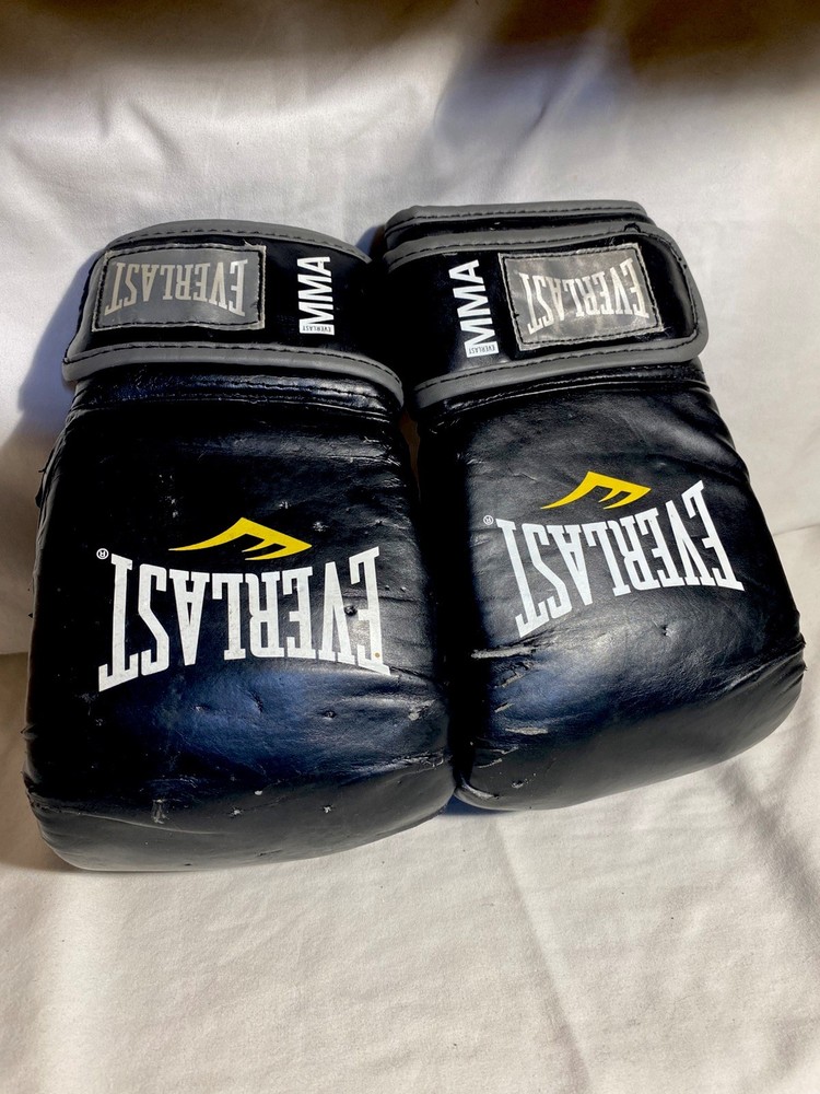 Everlast Boxing Training Gloves & Training Pad