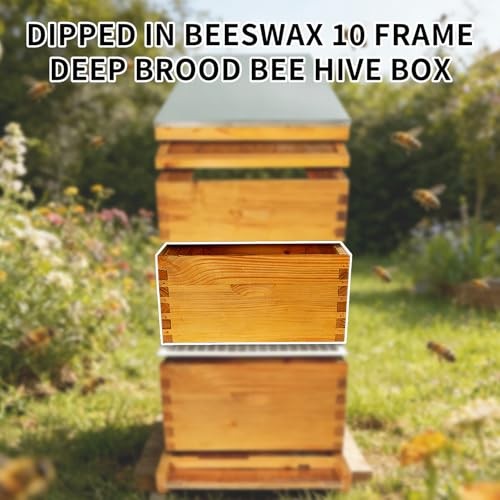 2 Pack Beehive Deep Brood Box 10 Frame Langstroth Deep Brood Bee Hive Box