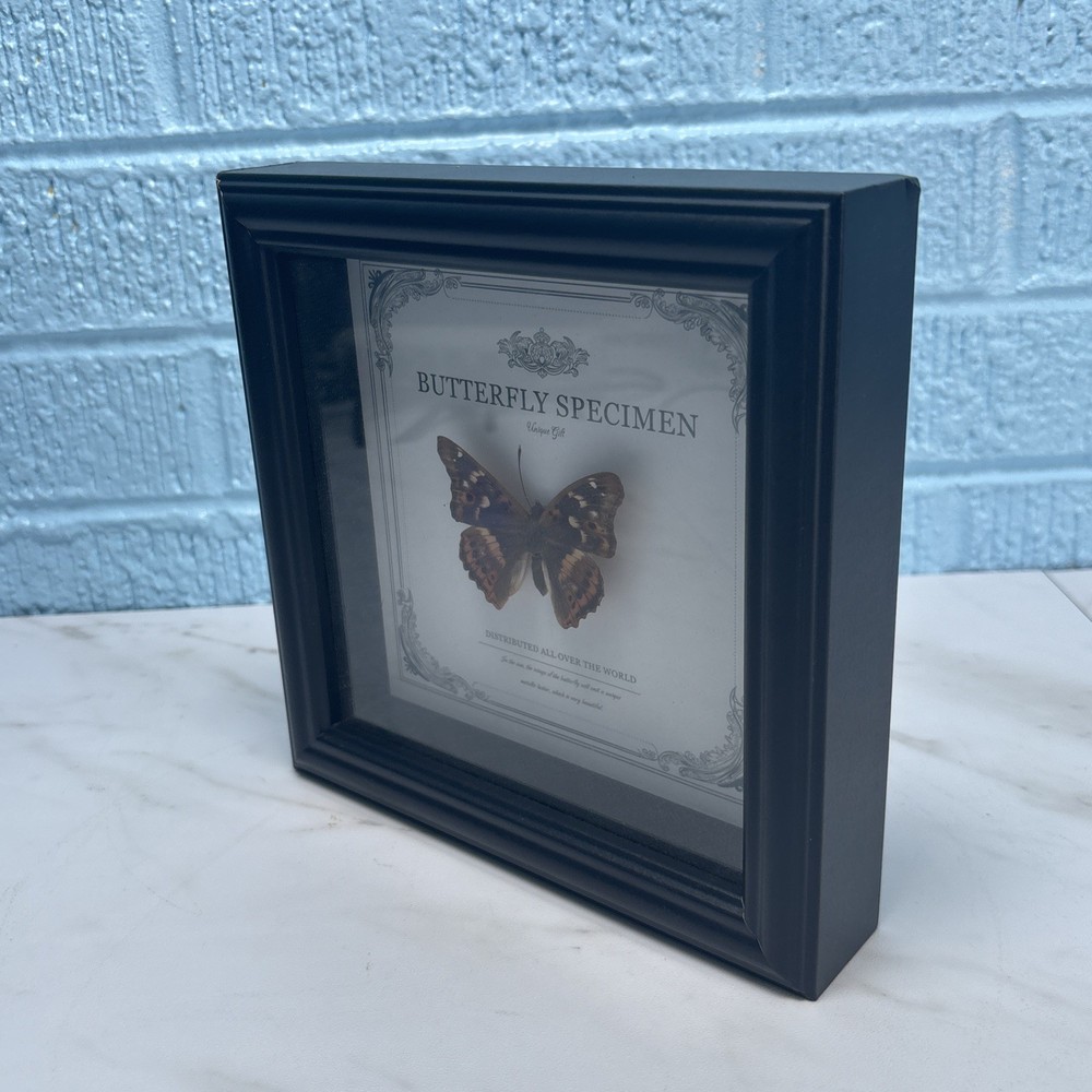 Hackberry Emperor - Butterfly Wall Art Decor Gothic Home Decor