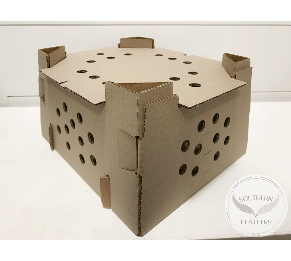 (10) High Quality Chick/Quail Shipping Boxes