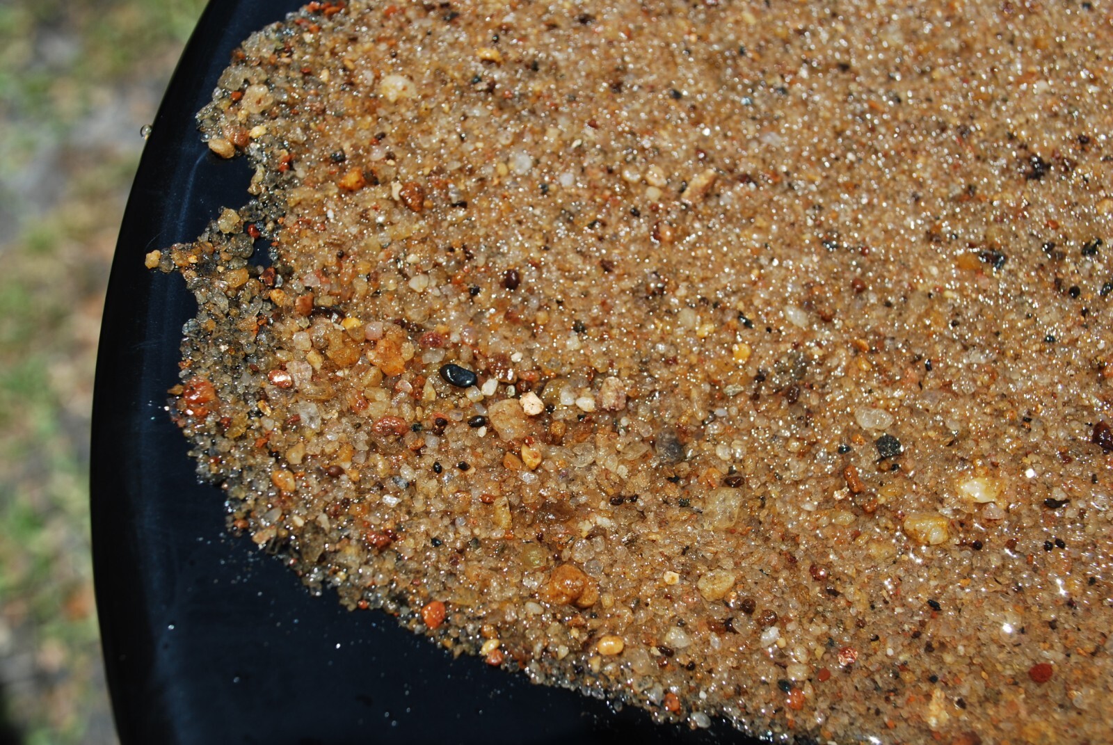 🔥 Gold Pan + 1lb Concentrate Paydirt Prospector Kit – Georgia - Nuggets, Fines