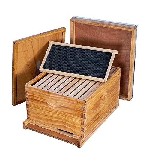 Beehive Starter Kit 10-Frame Bee Boxes and Frames Starter Kit Wax 10 Frames