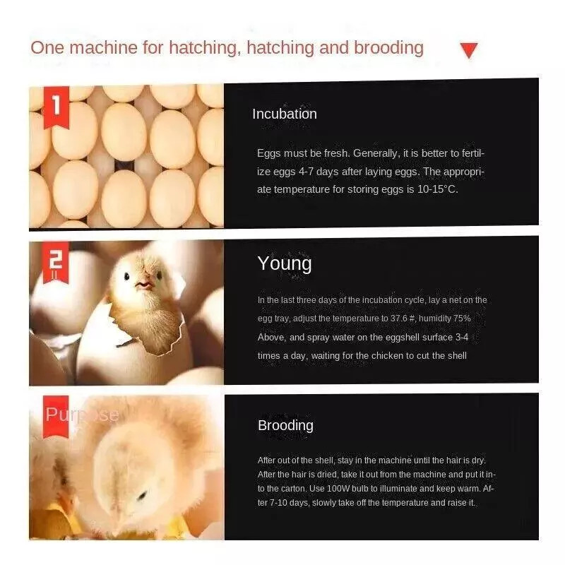 136/340 Eggs Incubator Automatic With Wifi Function For Hatching Chicken Quail
