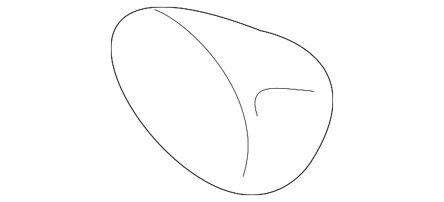 Genuine GM Multi-Purpose Nut 11609759