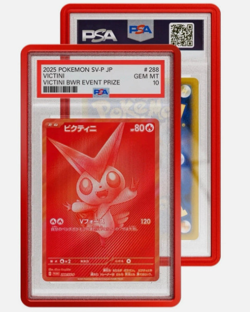 GradedGuard PSA Graded Card Case Guard Protector - Crimson