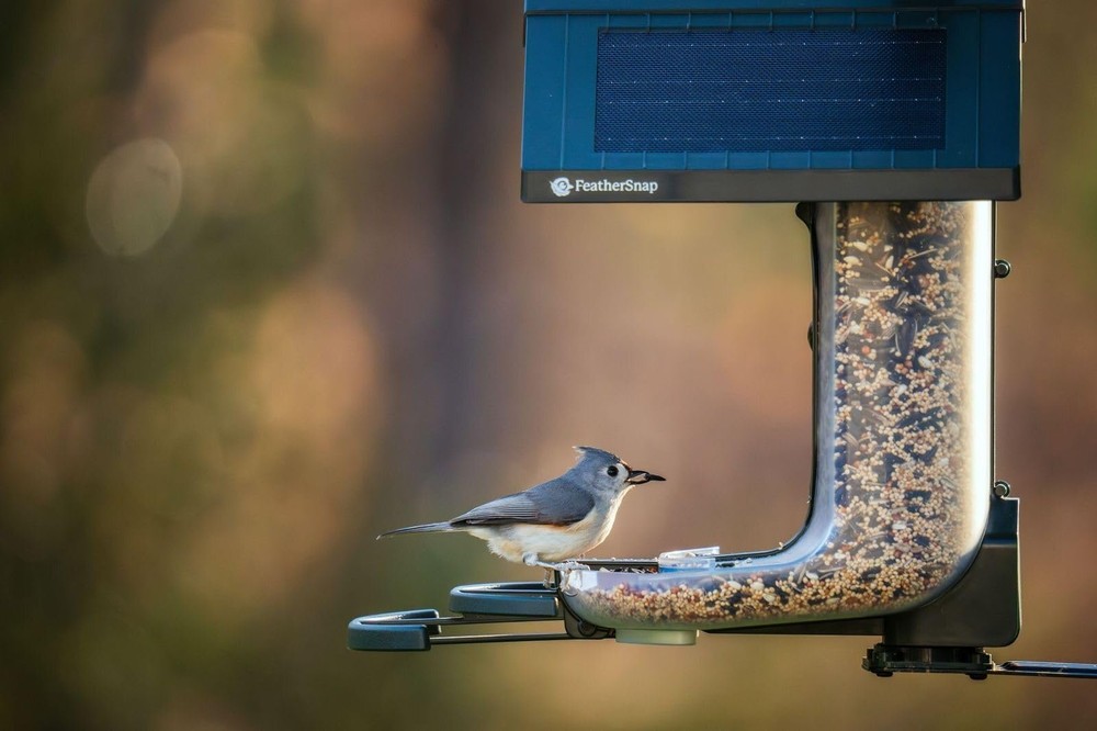 FeatherSnap Scout Wi-Fi Solar Powered Smart Bird Feeder - Automatically...