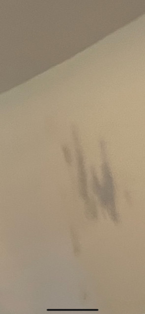 All-Clad 4203 Tri-Ply Stainless-Steel 3-qt Sauce Pan with lid (SCRATCH)