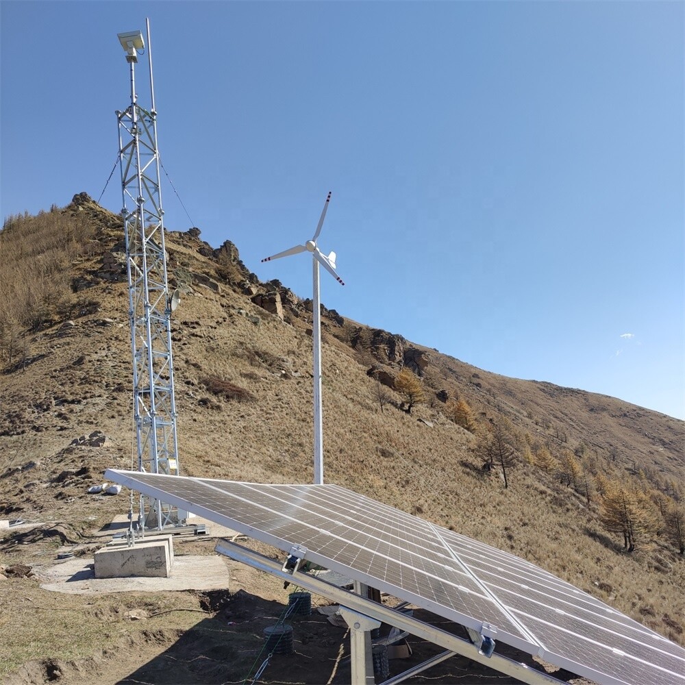 5000W Wind Turbine Generator Kit Wind Power & Off Grid Hybrid Charge Controller