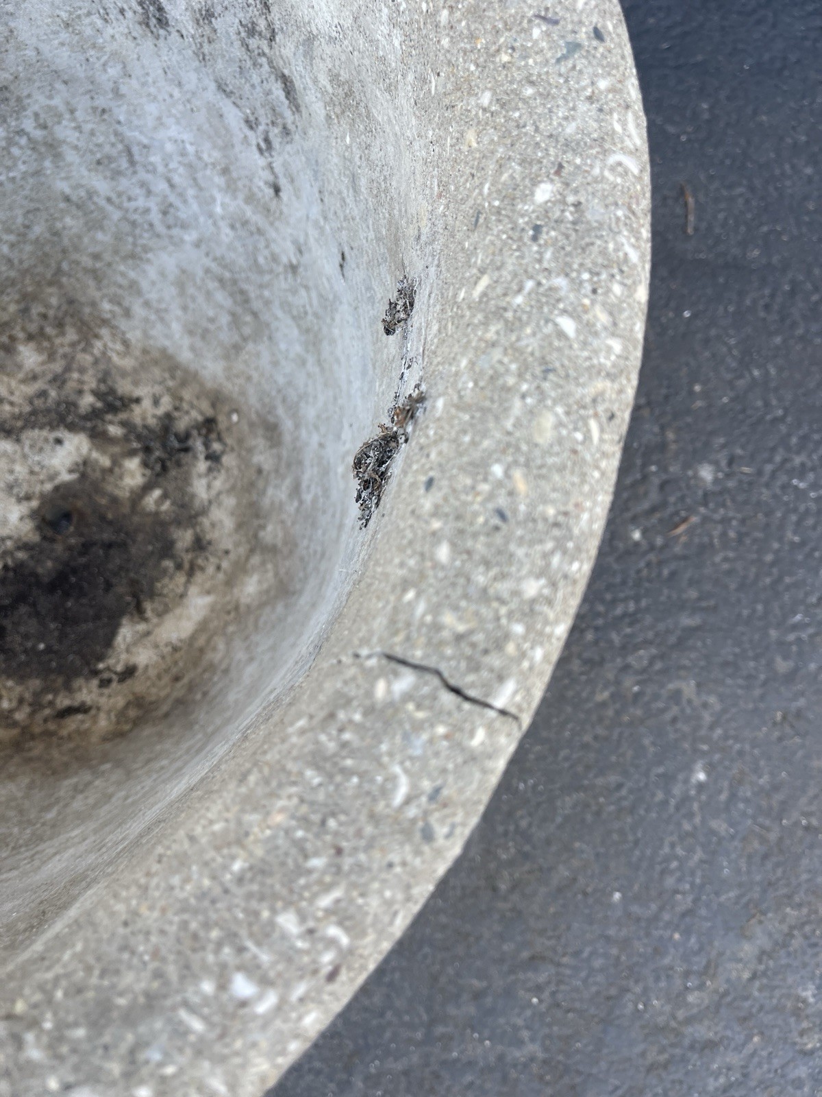 Antique Weathered Concrete Garden Urn Planter 18” Round 14” Tall Patina Cherub