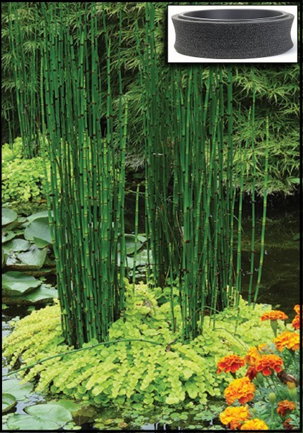 24" Floating Island Pond Planter-plant-koi-water garden-pool-aquatic-fish-flower