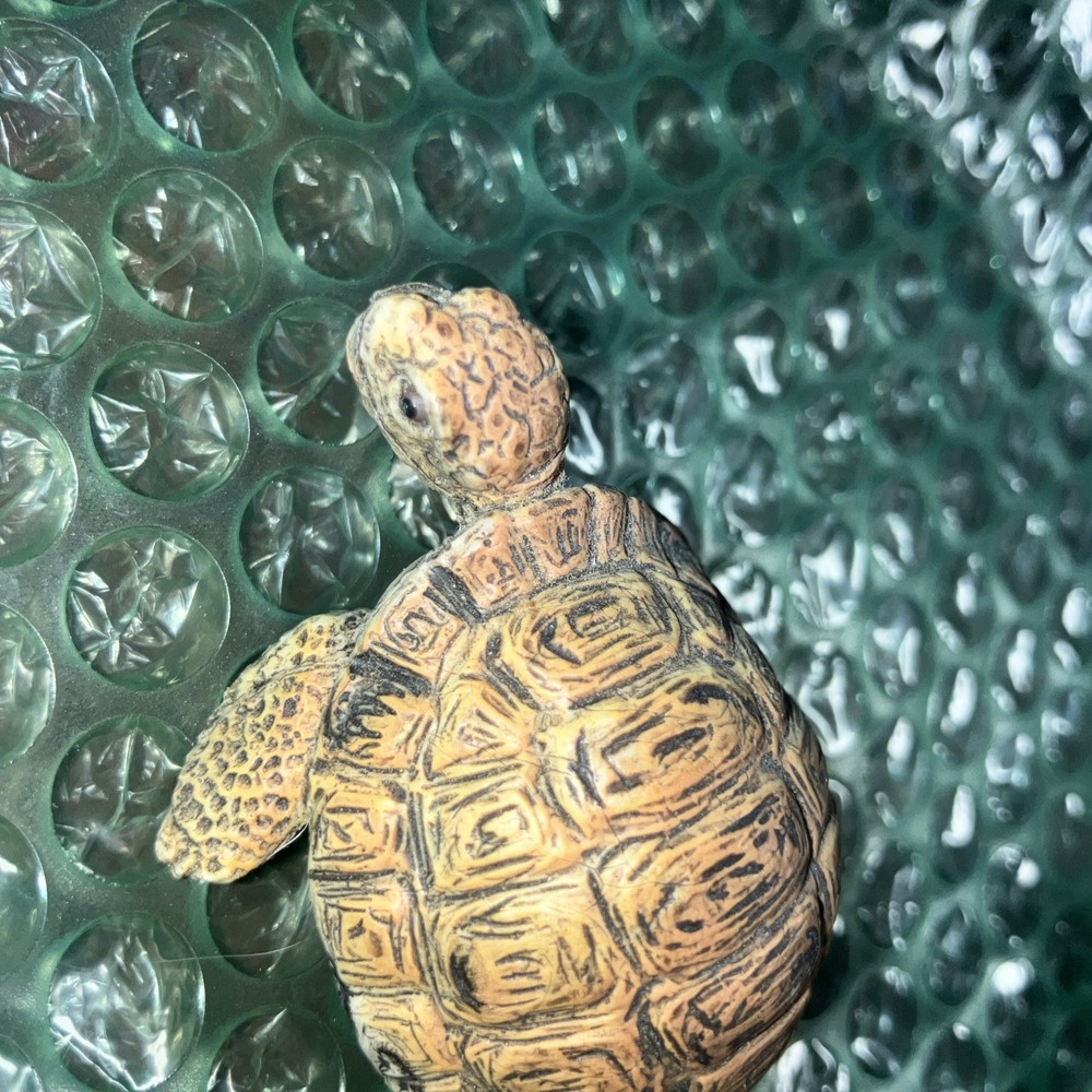 Two Plastic Tortoise Turtle Kids Toys