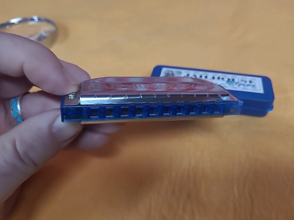 Jailhouse Blues Harmonica with Case