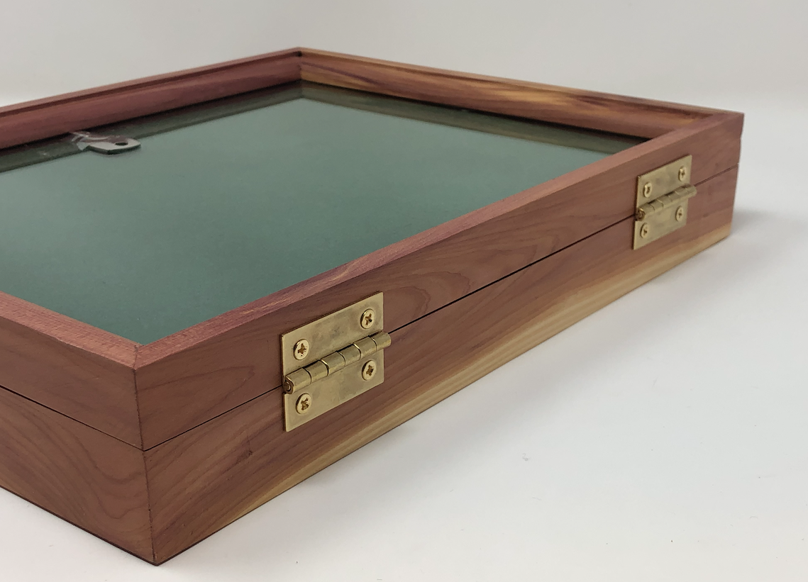Cedar 9 x 12 x 2 Wood Display Case for Arrowheads Knives Collectibles Coins