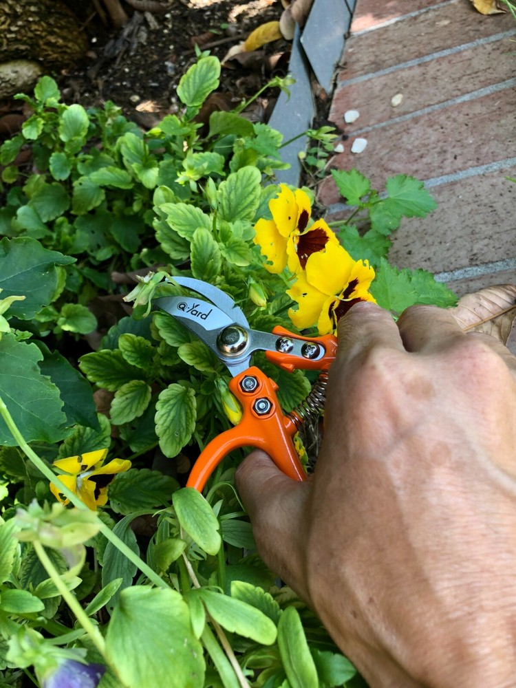 2 - pack Q-yard Pruning Shear, Mini-Trimmer Extra Sharp Garden Hand Pruners,