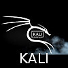 Kali Linux 2024.1 DVD (AMD64)