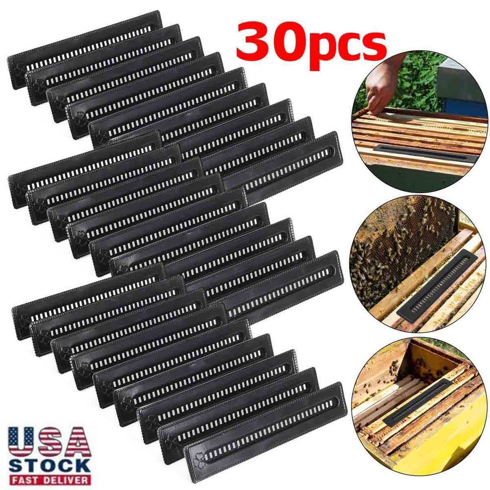 30Pcs Black Small Bee Hive Beetle Blaster Beehive Beetle Trap Beekeeping Tools