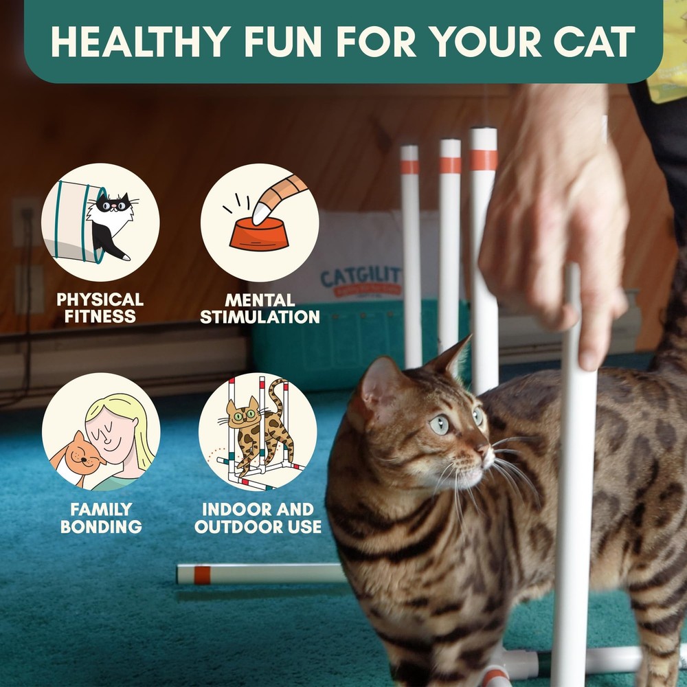 CATGILITY Cat Agility Equipment + Clicker Trainer Guide – Exercise Agility Co...