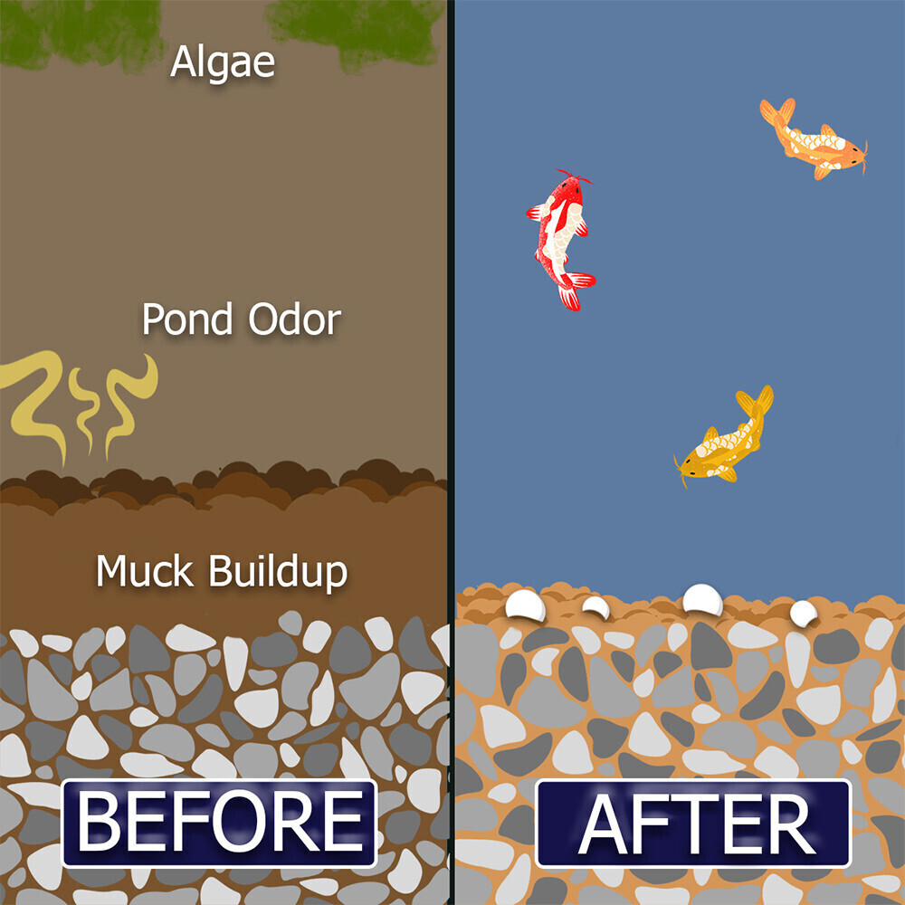 Muck Remover GP for Koi Ponds