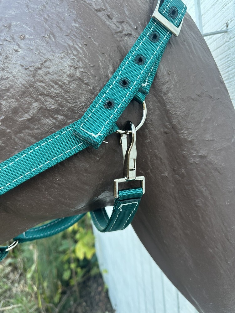 Personalized Nylon Horse Halter In Teal
