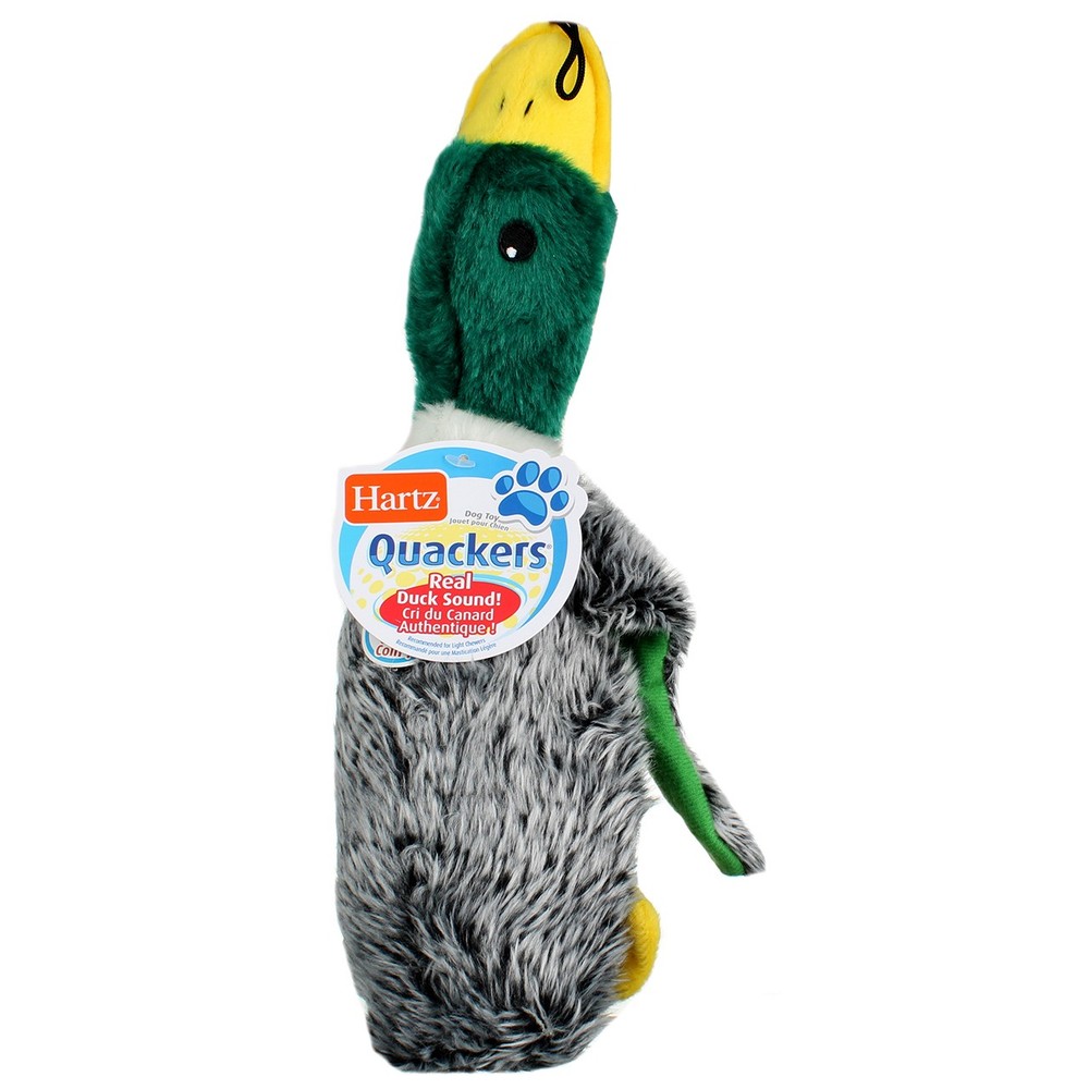 5 Pack Hartz Quackers Dog Toy, Assorted