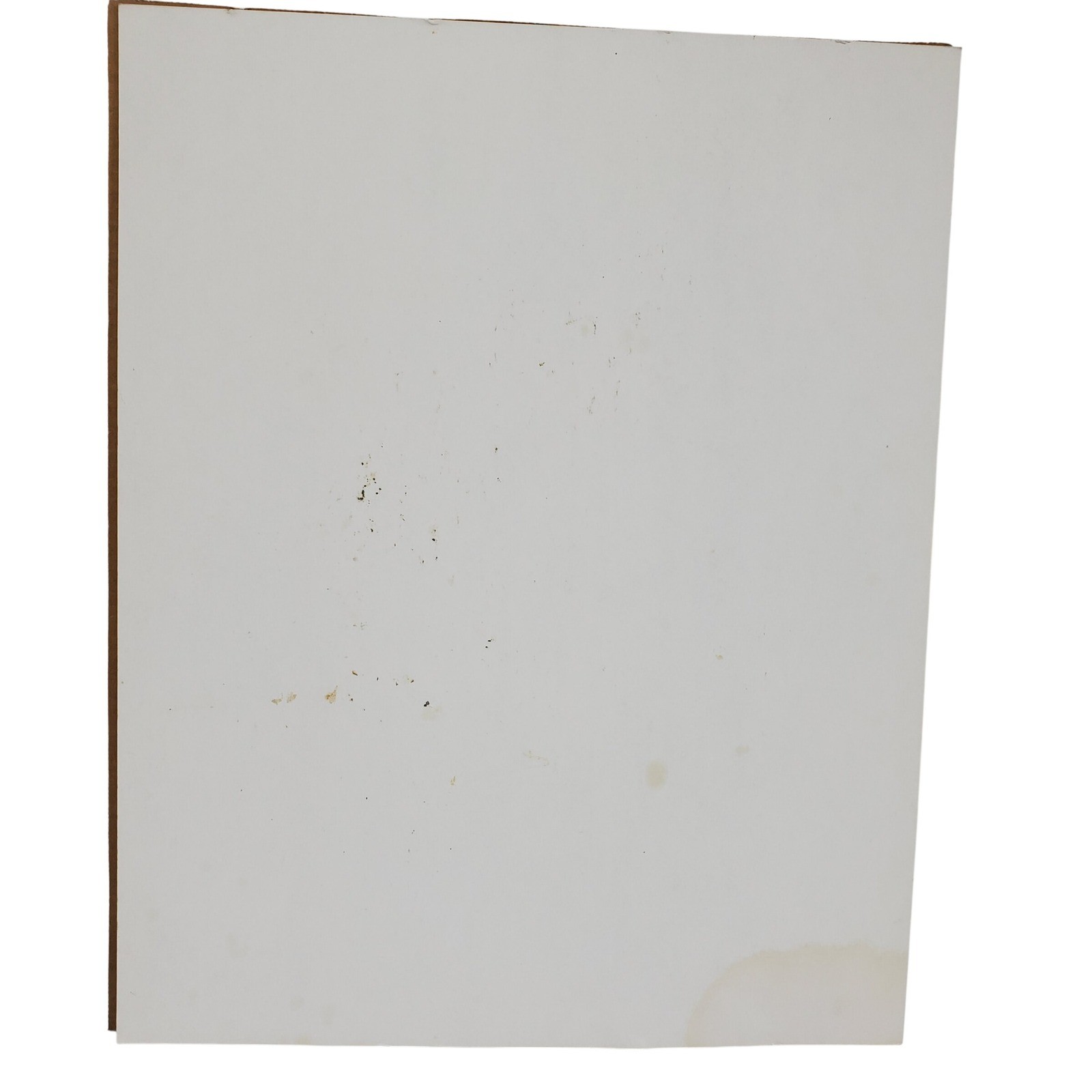 Vintage Bald Eagle Paint By Number Art Sunset Landscape Signed Teddy 16x20