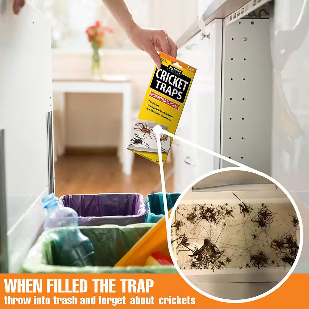 Cricket Traps (2 Pack)