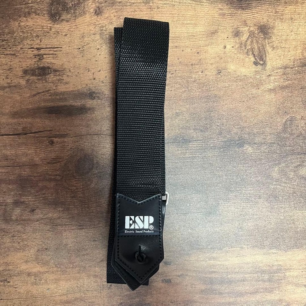 ESP Guitar Gig Bag Strap Safe Packing!